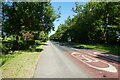 Speed limit markings on the road