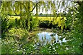 Pond by the cricket ground