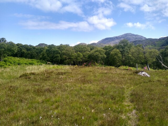 faint-path-to-nowhere-aleks-scholz-geograph-britain-and-ireland