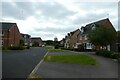 Houses on Rowan Close