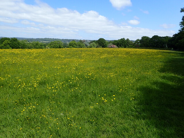 The Vanguard Way near Edenbridge © Marathon cc-by-sa/2.0 :: Geograph ...