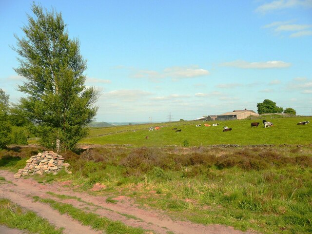 View towards Lamb Hill Farm from FP88/4, Norland Moor