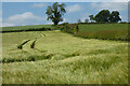 Farmland, Upper Winchendon