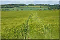 Farmland, Upper Winchendon