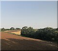 SX3359 : Fields to the north of Trerulefoot by Paul Barnett