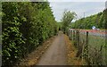 Weardale Way beside the A182