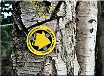 TQ7818 : Footpath sign on birch trunk, Churchland Wood, Sedlescombe by Patrick Roper