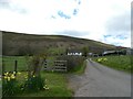 Road to Nant-y-gwreiddyn