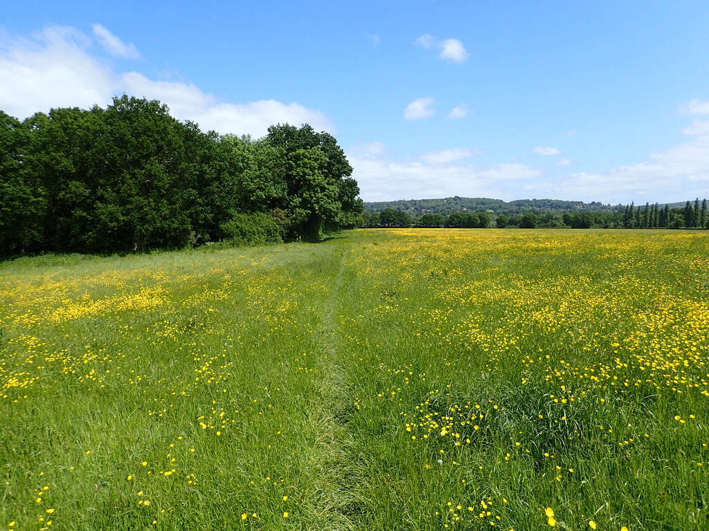 The Vanguard Way approaching Guildables... © Marathon cc-by-sa/2.0 ...