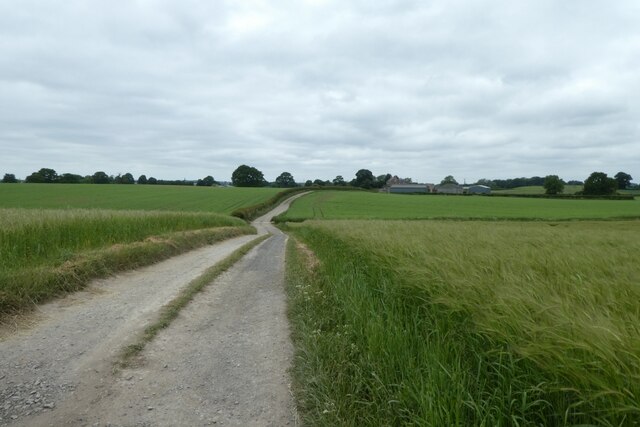 Bridleway crossing the Rampart