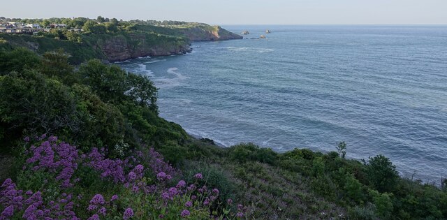 St Mary's Bay from the South West Coast Path