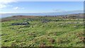 SD1395 : Birkby Fell ancient settlement by Alan Jolley