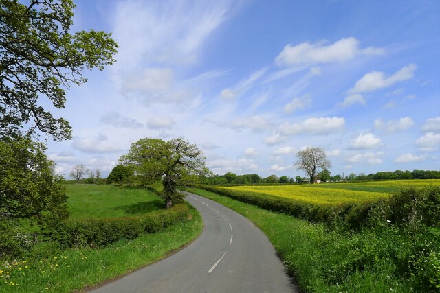 Cocken Lane heading north from Cocken... © Tim Heaton cc-by-sa/2.0 ...