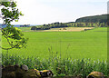 Fields near Millegan