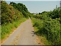 Footpath 8 approachig the A 58, Scarcroft