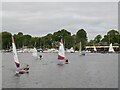 TG3016 : Sailing on Wroxham Broad  by Robin Drayton