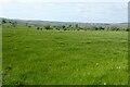 Farmland near Butterton