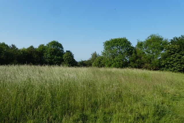 Long grass on the northern edge of... © DS Pugh cc-by-sa/2.0 ...