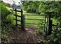 Gate and path in the Honey Brook valley