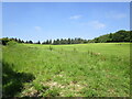 Grass field and Cave Wood