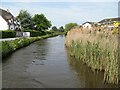 Canal at Acton Trussell