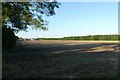 Fields east of Barmby Moor