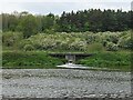 Sewage works outfall into the River Wear