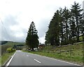 Windbreak for house in Pont Rhydgaled