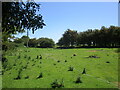 Grass field near Huttoft