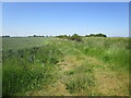 Footpath to Thurlby