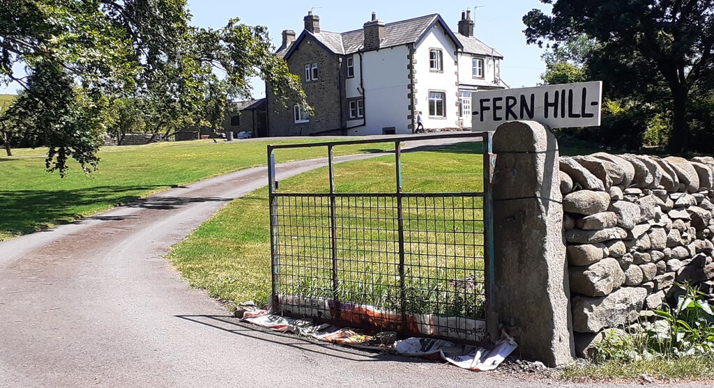 Fern Hill on NE side of New House Lane © Roger Templeman :: Geograph ...