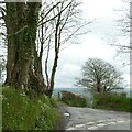 Single track road to  Llanfihangel-y-Creuddyn