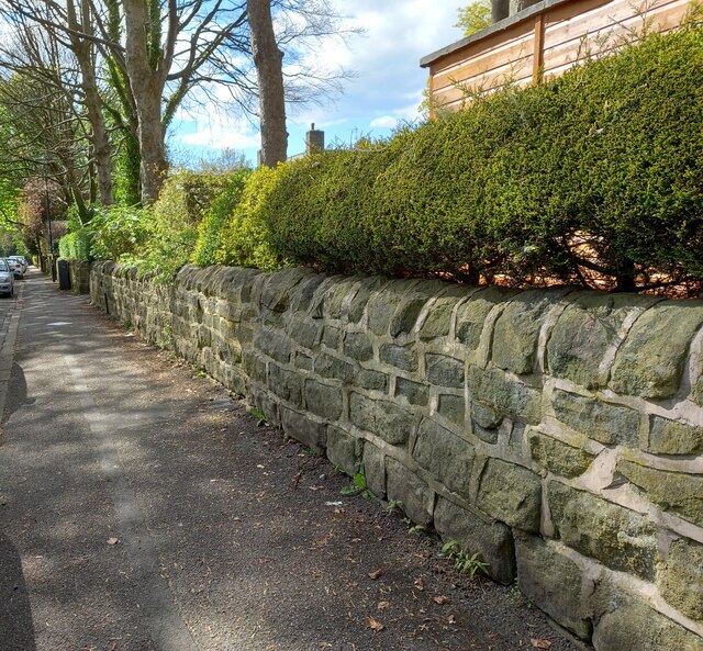 Roadside wall, Shire Oak Road,... © Mel Towler :: Geograph Britain and ...