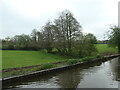 Trees along a stream, Barlaston