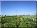 Footpath to Tothby