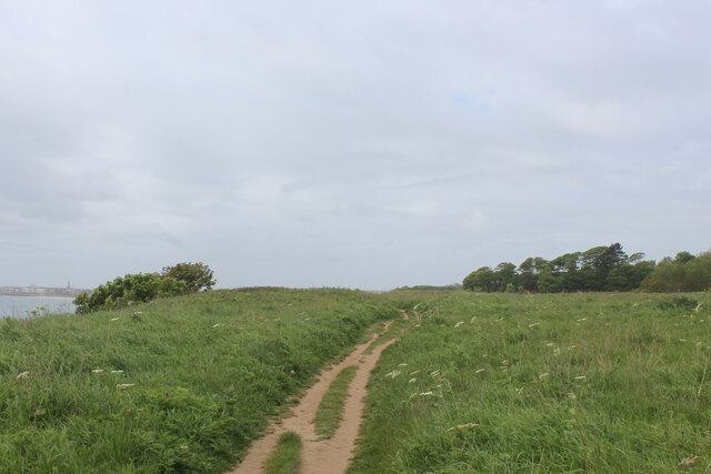 Coastal Path above Sewerby Rocks © Chris Heaton :: Geograph Britain and ...