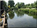 TR1859 : River Great Stour at Fordwich by Marathon