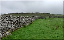SD9868 : Drystone walling, Conistone by Mel Towler