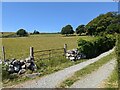 The lane to Trefaes