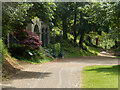 SD5428 : Avenham Park by Stephen McKay