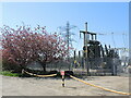 ST5087 : Blossom by the substation by Neil Owen