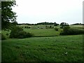 View towards Wern-olau farm