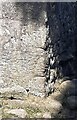 Benchmark on south angle of barn on NE side of A65, SE of Long Preston