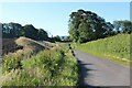 Country road east of Eaglesham