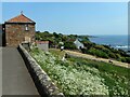 A Crail view