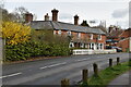 Row of houses, Brenchley Rd