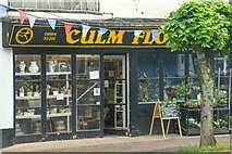 ST0207 : Cullompton : Culm Florist by Lewis Clarke