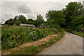 A road leading to Little Lilly Farm