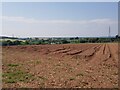 Ploughed field near Bluntington, Worcestershire