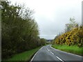 A485 in woodland north of Bronant